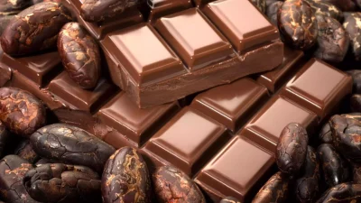 İsviçre’de Çikolata Üretiminde Devrim: Kakao Meyvesinin Tamamını Kullanan Yeni Yöntem
