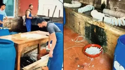 Adana’da Ruhsatsız İşletmede 5 Ton Paça ve Bağırsak Ele Geçirildi!