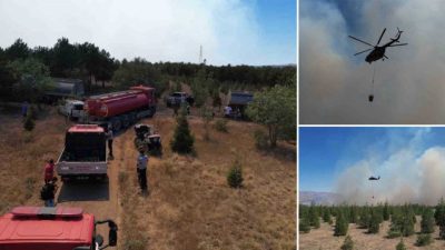 ODTÜ Ormanı’ndaki yangının tahribatı havadan görüntülendi