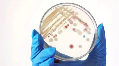 ABD'nin güney eyaletlerinde et yiyen