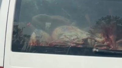 Adana’da mide bulandıran manzara