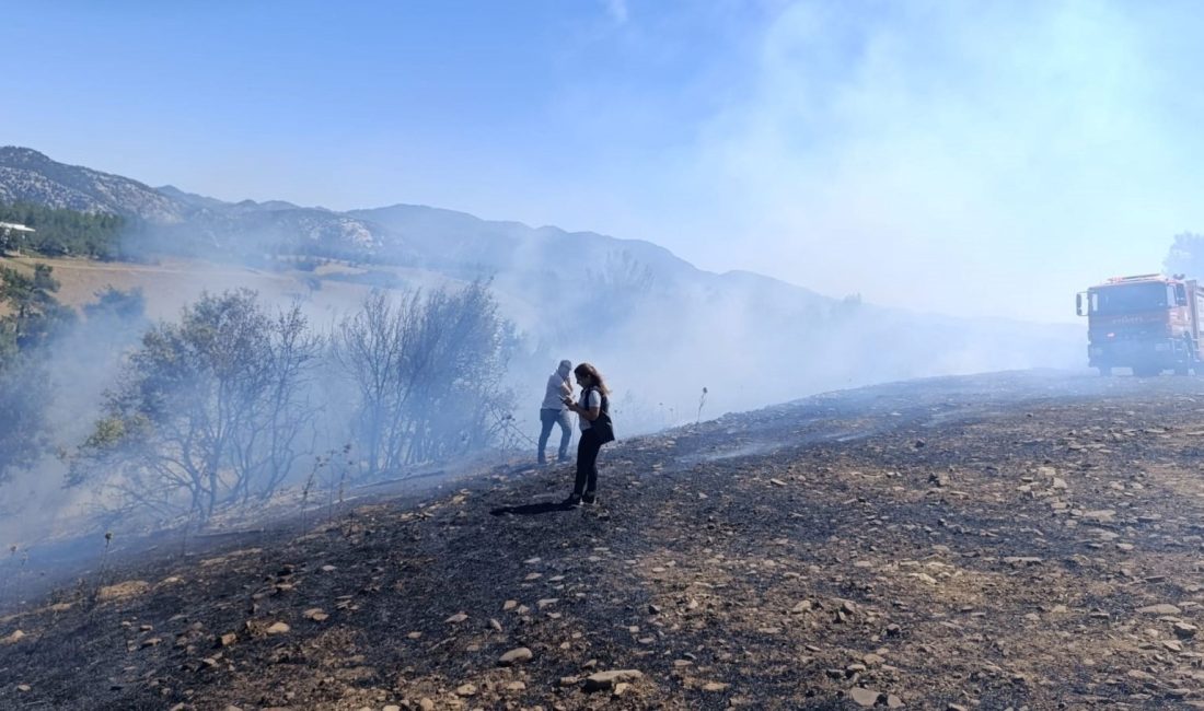Adana Kozan'da orman yangını