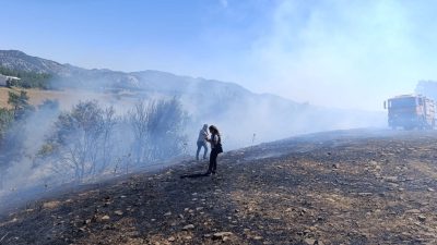 Adana’da orman yangını
