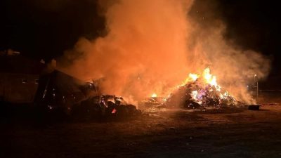 Ahırda yangın: Beş büyükbaş hayvan öldü