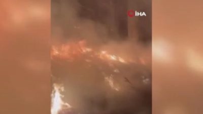 Ankara’da tarlalar yakıldı savı