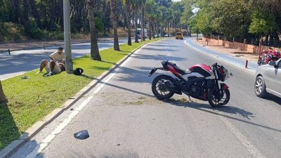 Antalya’da motosiklet palmiye ağacına çarptı