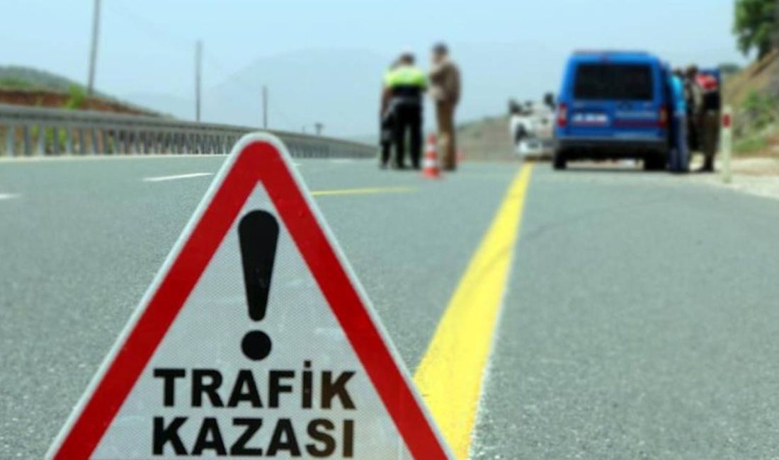 Denizli'de ağaca çarpan arabada