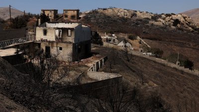 Yunanistan’da Atina yakınlarındaki orman yangını