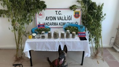 Aydın’da uyuşturucu operasyonu