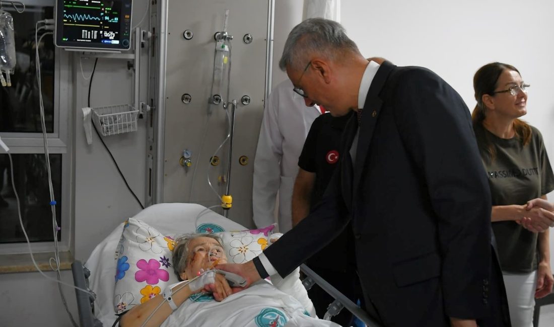 Sağlık Bakanı Memişoğlu, Sındırgı