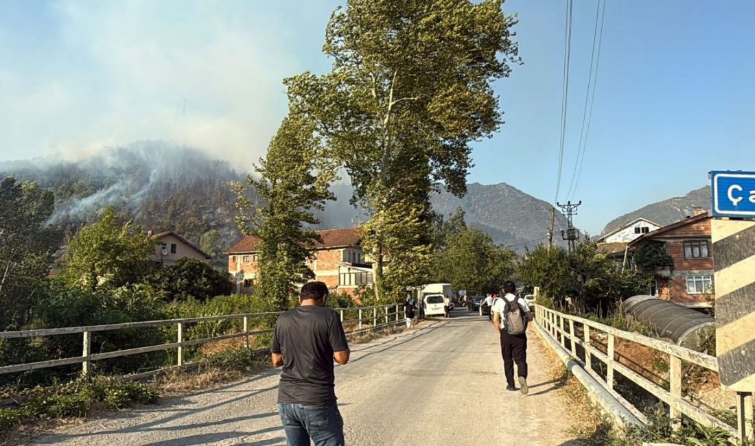 Bartın merkeze bağlı Kayadibi