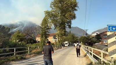 Bartın’da orman yangını