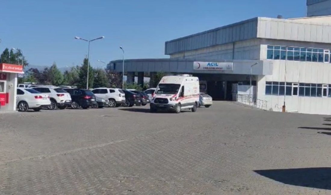 Bingöl’de 7 yaşındaki çocuk,