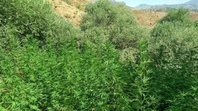 Bingöl’de uyuşturucuyla uğraş