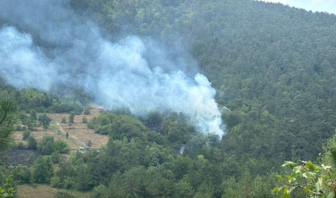 Bolu'da Pelitcik köyü mevkisindeki