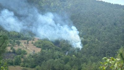 Bolu’da orman yangını: Müdahale sürüyor