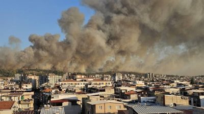 Buca orman yangını: Bir kişi tutuklandı