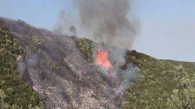 Bursa orman yangını: Bir kuşkulu gözaltına alındı