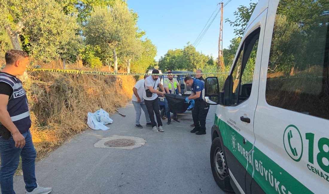 Bursa'nın Orhangazi ilçesinde Yusuf