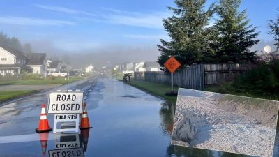 ABD'nin Alaska eyaletinde, buzul ve