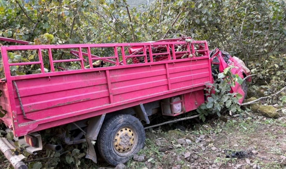 Giresun'da fındık çalışanlarını taşıyan