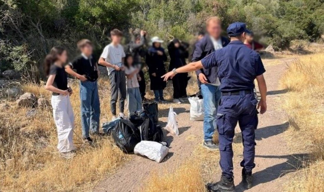 Çanakkale’nin Ayvacık ilçesinde 6'sı