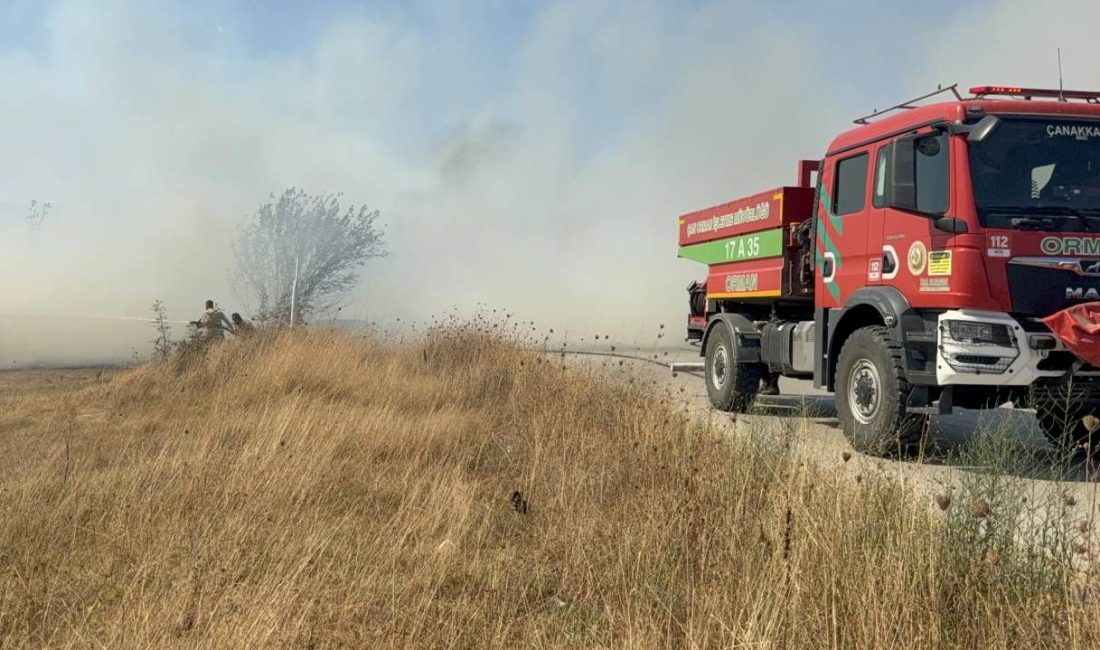 Çanakkale'de tarım toprağında çıkan