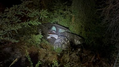 Çarpışıp ormandaki uçumuna savruldular