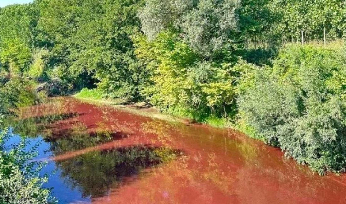 Sakarya'nın Akyazı ilçesinden geçen