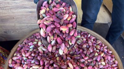 Çok sıcaklar hasadı öne çekti: Kilosu 500 liraya satılıyor