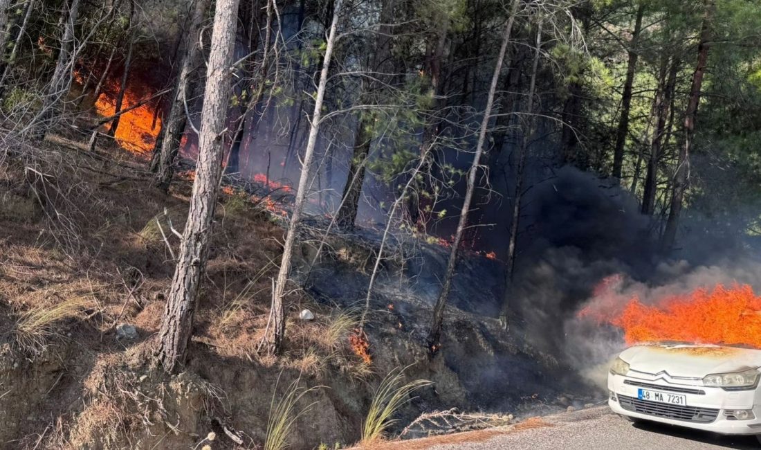 Muğla'da bir arabada başlayan
