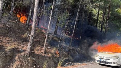 Dalaman’da otomobilde başlayan yangın ormana sıçradı