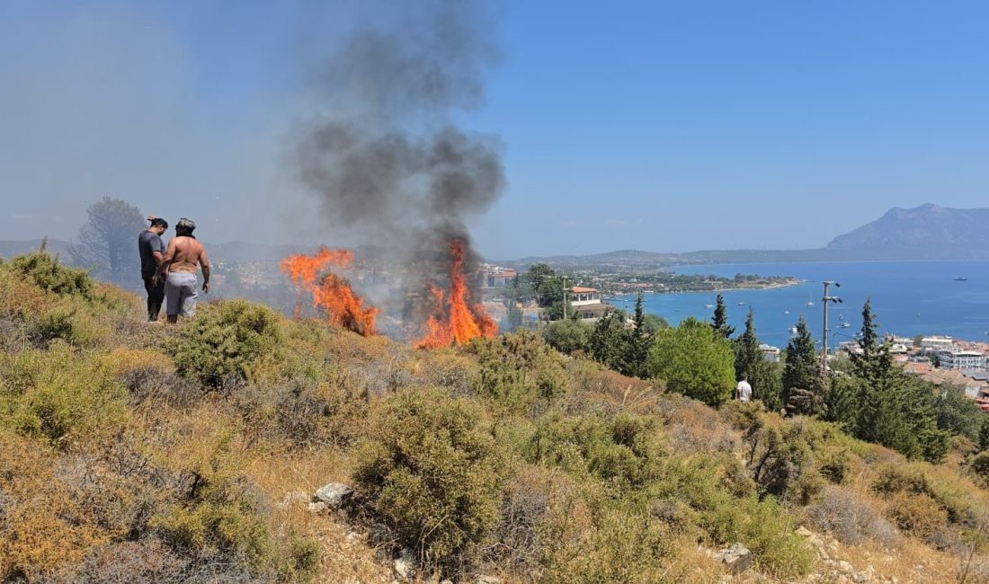 Muğla'nın Datça ilçesinde, makilik