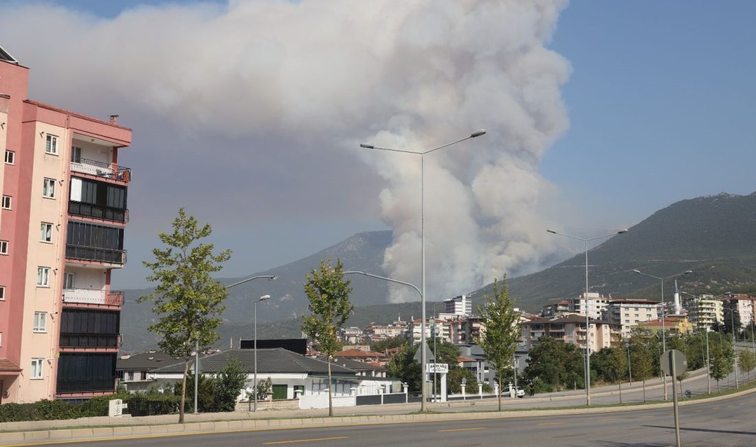 Denizli'nin Pamukkale ilçesinde dün