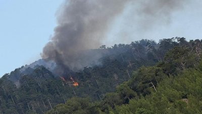 Denizli’de orman yangını: Havadan ve karadan müdahale