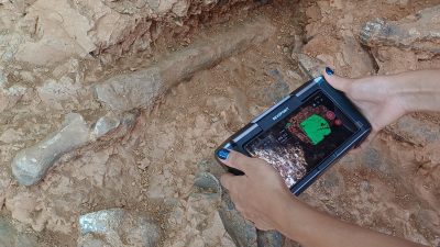 Denizli’deki kazılardan fosil fışkırdı: Zürafa, fil, gergedan, at, sürüngen…