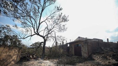 Dikkat! Yurt genelinde risk çok yüksek: Ormanlar için dört kıymetli ikaz