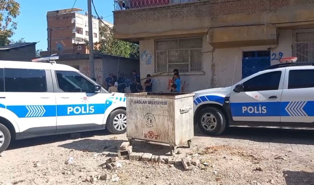 Diyarbakır'ın Bağlar içesinde, Vezir