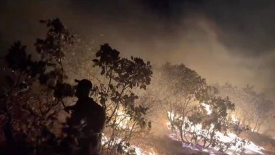 Diyarbakır’da alevler 5 saatte denetim altına alındı