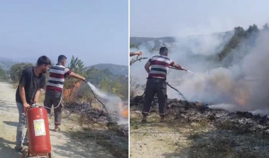 Hatay'ın Yayladağı ilçesinde sıcak