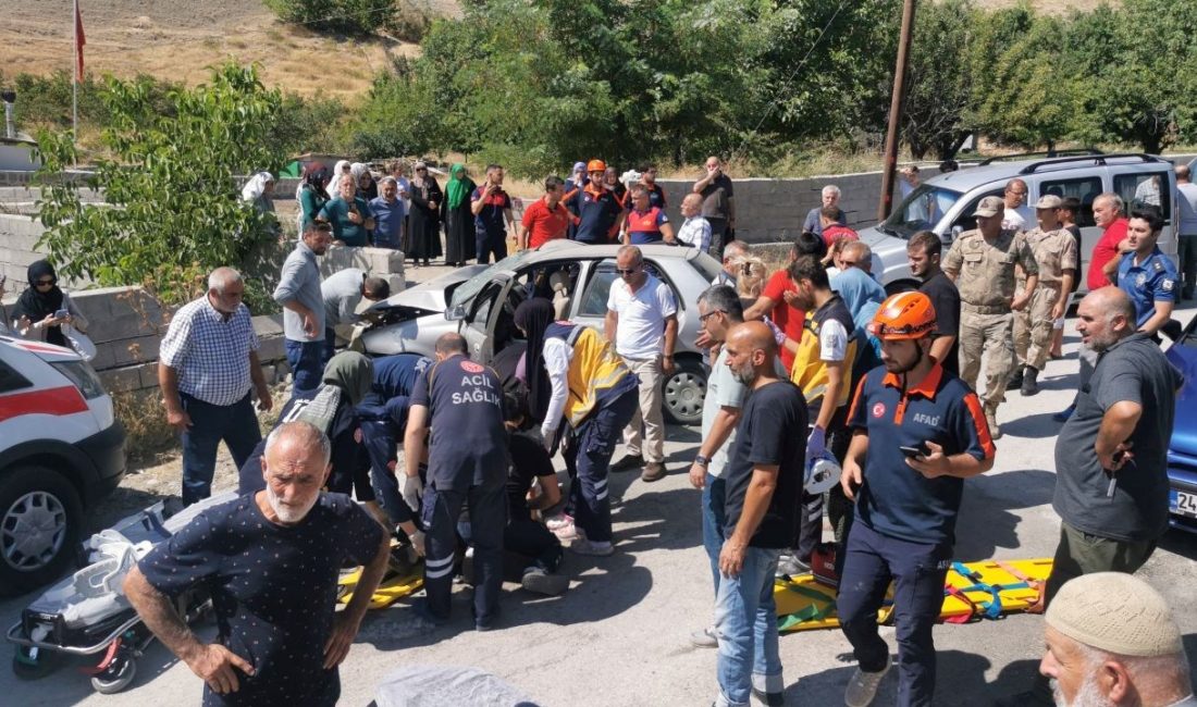 Erzincan'da arabanın bahçe duvarına
