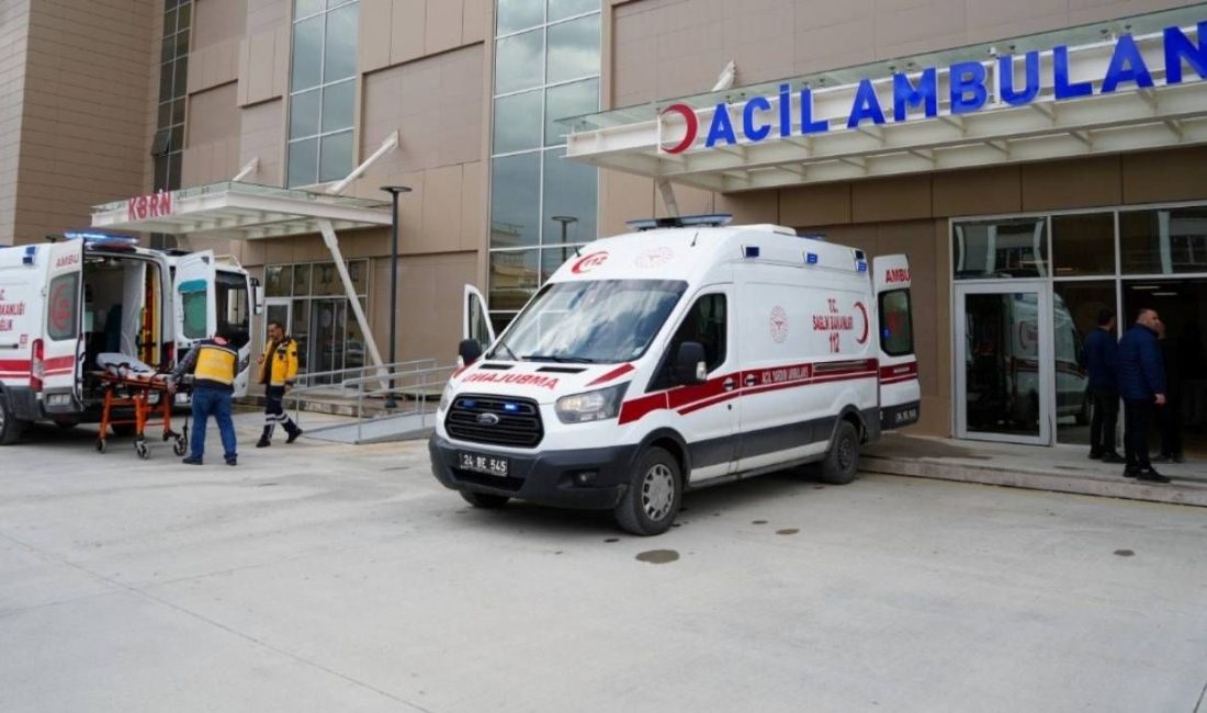 Erzincan’da arabanın şarampole uçması