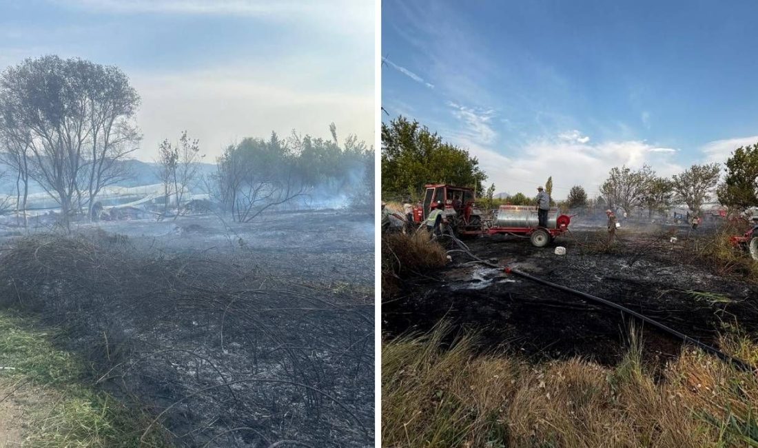 Eskişehir'de çıkan anız yangını