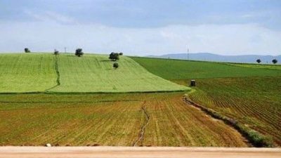 Eylülde başlıyor: Ekilmeyen tarla kiralanacak