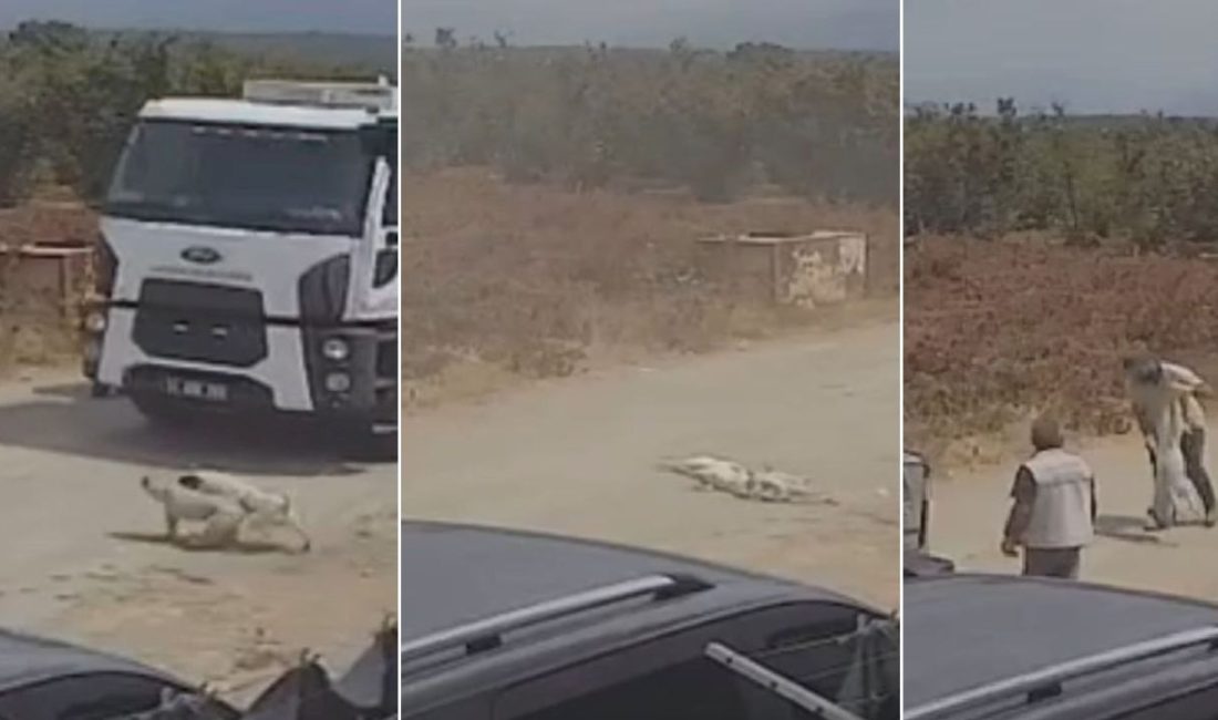 Sakarya'da çöp kamyonu, meskenin