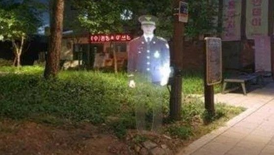 Güney Kore polisi, cürmü