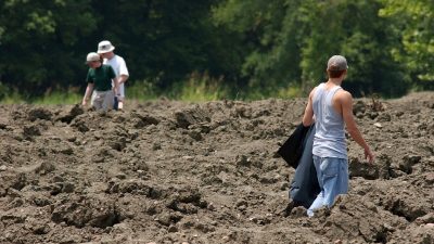 ABD'de bulunan bir eyalet parkında