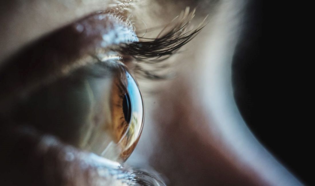 Hindistan’da sekiz ay boyunca