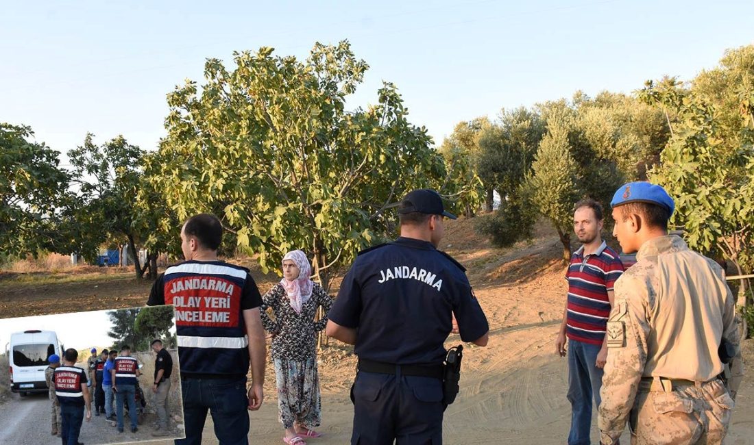 Hasat mevsimi geldi, Aydın'da