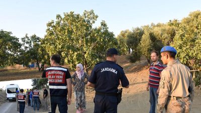 İncir ve zeytin bahçelerinde hırsız nöbeti